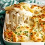 Chicken Alfredo Bake Recipe