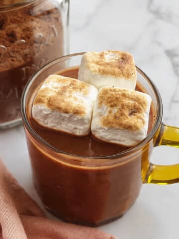 Homemade Dairy-Free Hot Chocolate Mix Recipe