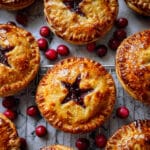 Apple Cranberry Hand Pies Recipe