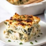 Chicken Alfredo Lasagna Recipe