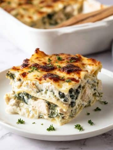 Chicken Alfredo Lasagna Recipe