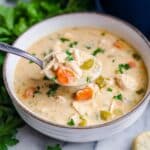 Creamy Slow Cooker Chicken Stew Recipe