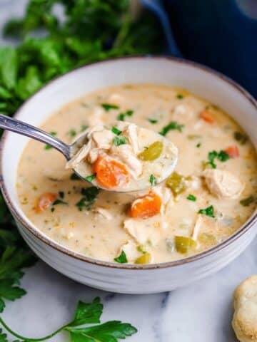 Creamy Slow Cooker Chicken Stew Recipe