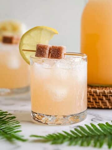 Guava Lemonade Fizz Recipe