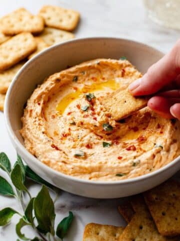 Sun-dried Tomato and Basil White Bean Dip Recipe