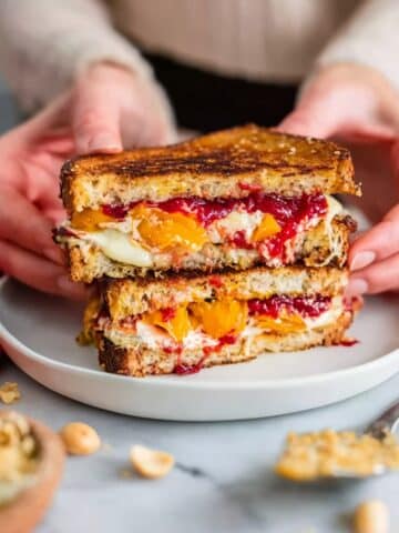 Squash Sandwich with Simple Cashew Mozzarella and Caramelized Balsamic Onions Recipe