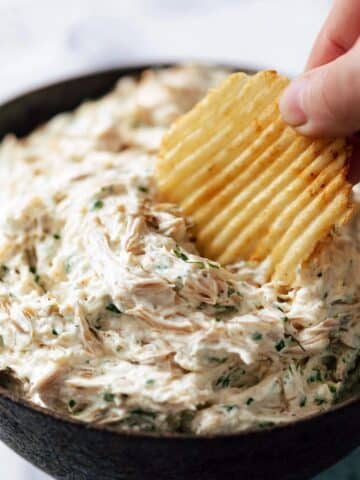 Caramelized Onion Dip Recipe