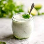 Cilantro Garlic Sauce Recipe