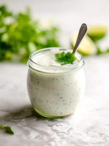 Cilantro Garlic Sauce Recipe