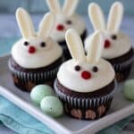 Easter Bunny Cupcakes (Gluten Free, Vegan) Recipe