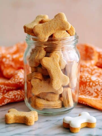 Soft Pumpkin Dog Treats Recipe