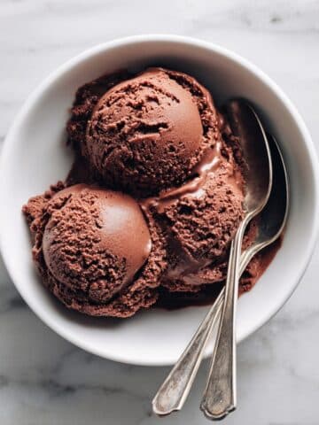 Ninja Creami Chocolate Ice Cream Recipe