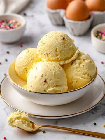 Frozen Custard Recipe