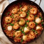 Spanish Seafood Paella Recipe