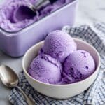 Ninja Creami Blueberry Cottage Cheese Ice Cream Recipe