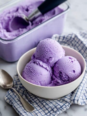 Ninja Creami Blueberry Cottage Cheese Ice Cream Recipe