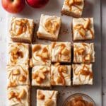 Vegan Applesauce Cake Recipe