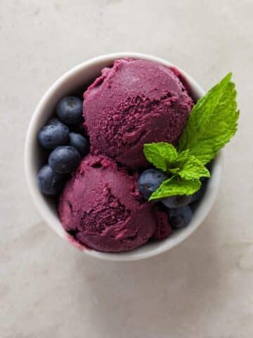 Blueberry Frozen Yogurt Recipe