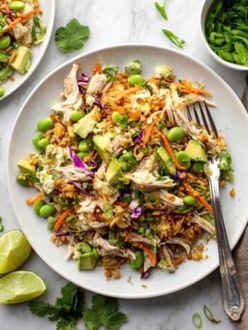 Crispy Rice Salad with Sesame Ginger Dressing and Chicken Recipe