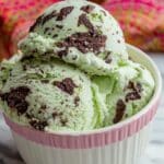 Mint Chocolate Chip Ice Cream Recipe