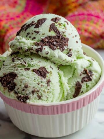Mint Chocolate Chip Ice Cream Recipe