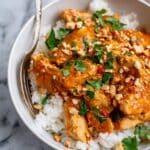Slow Cooker Peanut Chicken Recipe