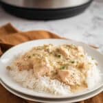 Slow Cooker Creamy Chicken Recipe