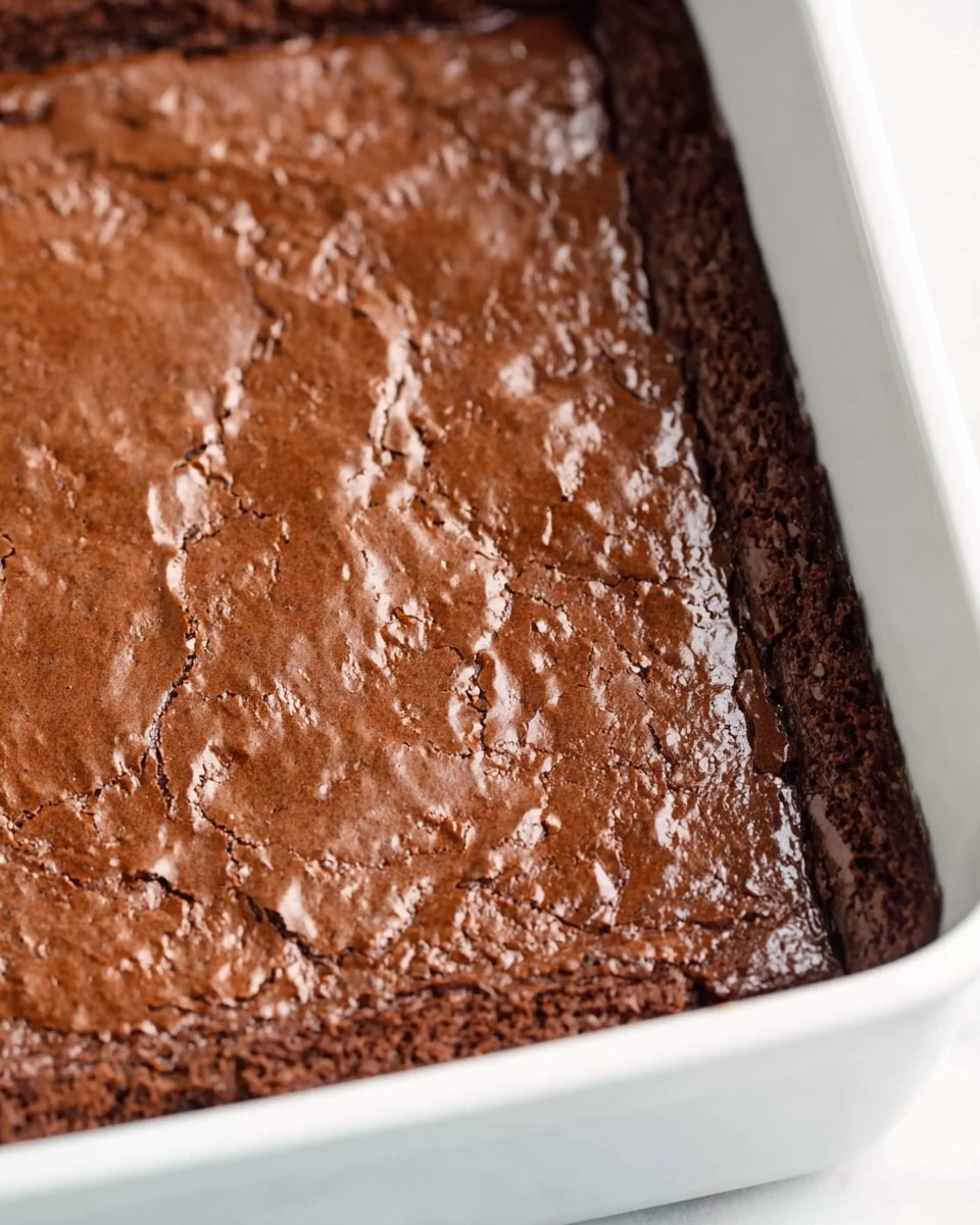 A close-up view of a single-layer baked chocolate brownie in a white square baking dish. The top layer is rich brown with a shiny, slightly cracked texture that shows the soft, dense middle underneath. The edges are darker and firmer, forming a defined border all around the white dish. The baking dish sits on a white marbled surface, and there are no other objects in the background. photo taken with an iphone --ar 4:5 --v 7