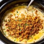 Crockpot Chicken and Stuffing Recipe
