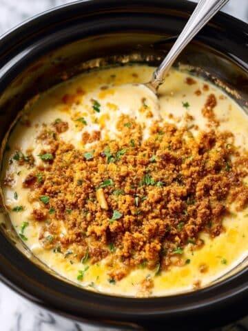 Crockpot Chicken and Stuffing Recipe