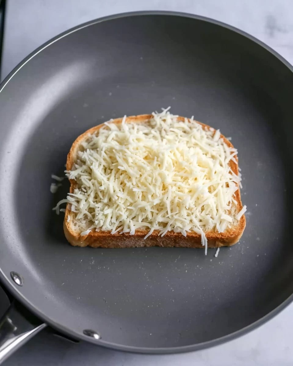 A single slice of bread is placed in the center of a large gray frying pan, resting on a stove. The bread is topped with a thick layer of shredded white cheese that covers the bread fully, showing soft and stringy texture. The frying pan has a smooth, matte surface and the background is a white marbled texture. photo taken with an iphone --ar 4:5 --v 7