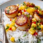 Seared Scallops with Coconut Rice and Pineapple Salsa Recipe