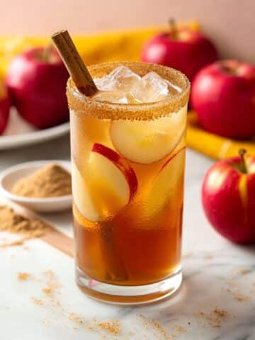 Sparkling Apple Cider Mocktail with Cranberry, Ginger, and Cinnamon Recipe