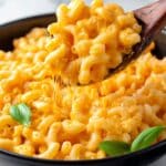 Very Best Vegan Mac and Cheese Recipe